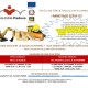 MINISTAGE ESTIVI 2019_