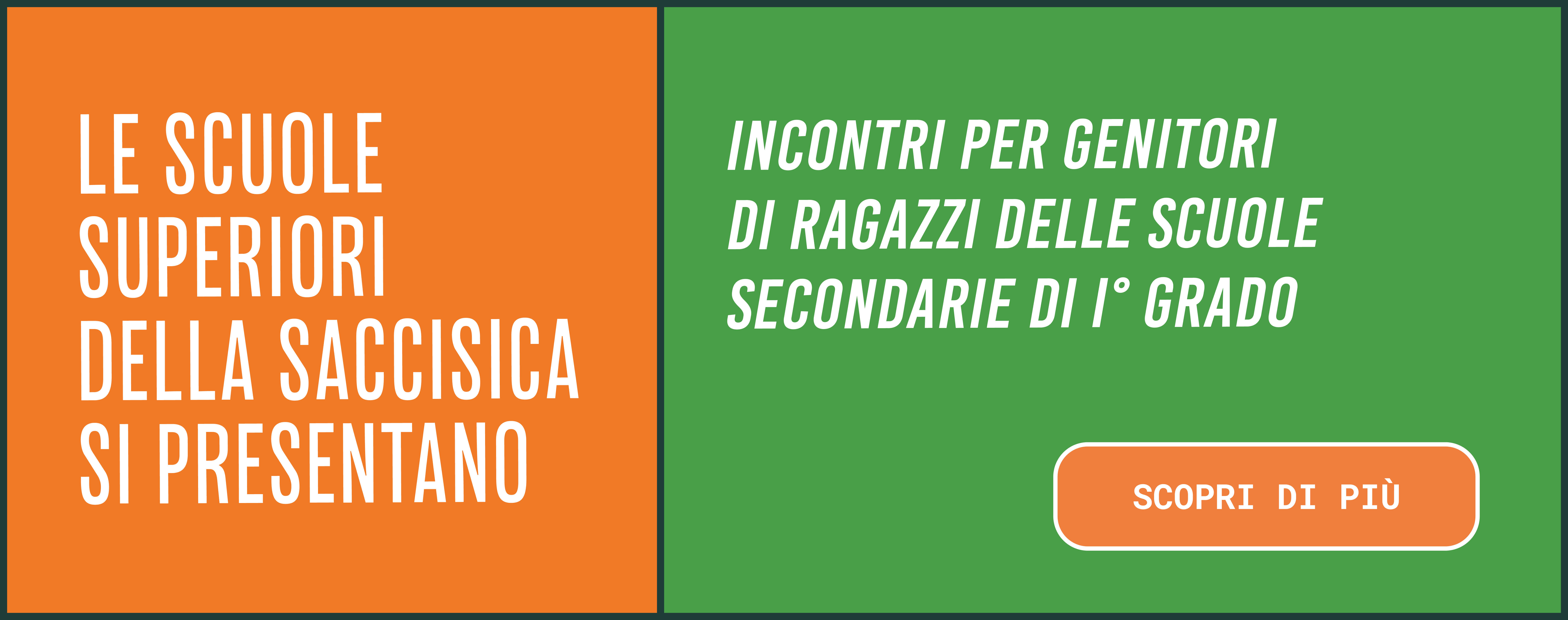 Slider-sito_Saccisica